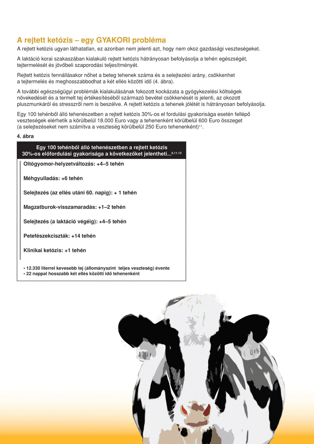 Ketotest Kexxtone 4